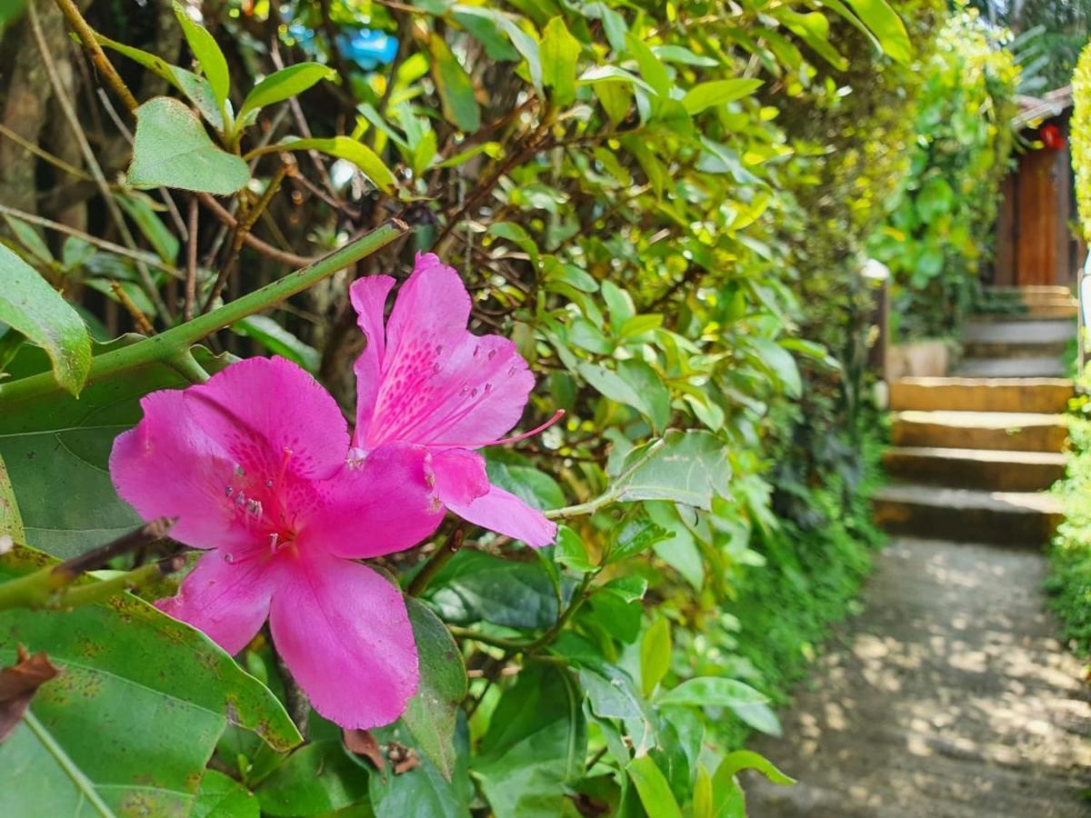 Guest house Donna Rose Penedo (Rio de Janeiro)